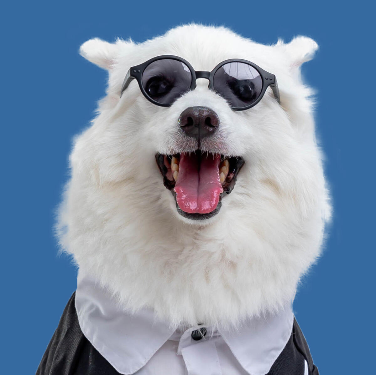 ciagu & Co. Cie Morale Officer